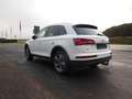 Audi Q5 40 TDI quattro AHK/19"/NAV/el.HECKKLAPPE Blanc - thumbnail 5