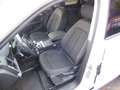 Audi Q5 40 TDI quattro AHK/19"/NAV/el.HECKKLAPPE Blanc - thumbnail 12