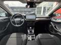 Ford Focus Titanium Mild-Hybrid/ACC/B&O-Sound Blau - thumbnail 11