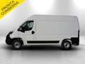 Fiat Ducato Mh2 140cv furgone 35qli serie 9 Blanc - thumbnail 7