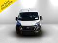 Fiat Ducato Mh2 140cv furgone 35qli serie 9 Blanc - thumbnail 2