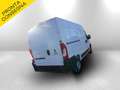 Fiat Ducato Mh2 140cv furgone 35qli serie 9 Bianco - thumbnail 5
