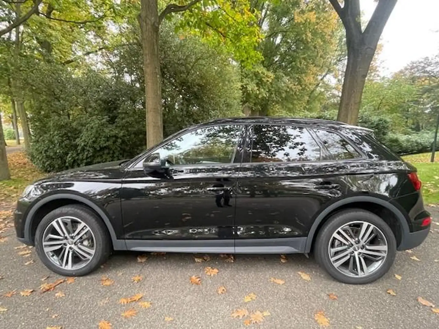 Audi Q5 50 TFSI e quattro /Xenon/ Elec trek/ Apple Carp/Ke Zwart - 2