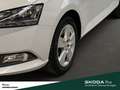 Skoda Fabia Combi AMBITION TSI DSG CARPLAY BLUETOOTH RADIO ZV Weiß - thumbnail 11