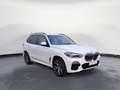 BMW X5 xDrive40d M Sportpaket Innovationsp. Head-Up Weiß - thumbnail 13