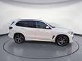 BMW X5 xDrive40d M Sportpaket Innovationsp. Head-Up Weiß - thumbnail 6
