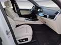 BMW X5 xDrive40d M Sportpaket Innovationsp. Head-Up Weiß - thumbnail 9