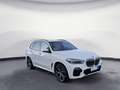 BMW X5 xDrive40d M Sportpaket Innovationsp. Head-Up Weiß - thumbnail 13