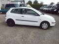 Volkswagen Polo 1.9 SDi Smile Plus lichte vracht Wit - thumbnail 3