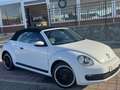 Volkswagen Beetle -  - Cabrio 2.0 TDI BMT 110 CV Weiß - thumbnail 33