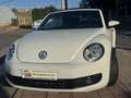 Volkswagen Beetle -  - Cabrio 2.0 TDI BMT 110 CV Weiß - thumbnail 7