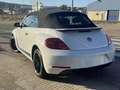 Volkswagen Beetle -  - Cabrio 2.0 TDI BMT 110 CV Weiß - thumbnail 17