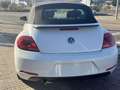 Volkswagen Beetle -  - Cabrio 2.0 TDI BMT 110 CV Weiß - thumbnail 45