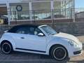 Volkswagen Beetle -  - Cabrio 2.0 TDI BMT 110 CV Weiß - thumbnail 41