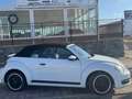 Volkswagen Beetle -  - Cabrio 2.0 TDI BMT 110 CV Weiß - thumbnail 35