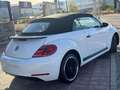 Volkswagen Beetle -  - Cabrio 2.0 TDI BMT 110 CV Weiß - thumbnail 13