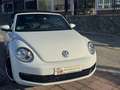 Volkswagen Beetle -  - Cabrio 2.0 TDI BMT 110 CV Weiß - thumbnail 27