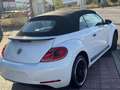 Volkswagen Beetle -  - Cabrio 2.0 TDI BMT 110 CV Weiß - thumbnail 9