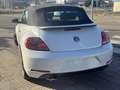 Volkswagen Beetle -  - Cabrio 2.0 TDI BMT 110 CV Weiß - thumbnail 23