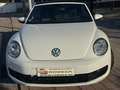 Volkswagen Beetle -  - Cabrio 2.0 TDI BMT 110 CV Weiß - thumbnail 5