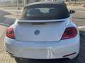 Volkswagen Beetle -  - Cabrio 2.0 TDI BMT 110 CV Weiß - thumbnail 43