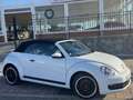 Volkswagen Beetle -  - Cabrio 2.0 TDI BMT 110 CV Weiß - thumbnail 39