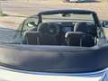 Volkswagen Beetle -  - Cabrio 2.0 TDI BMT 110 CV Weiß - thumbnail 28