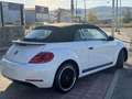Volkswagen Beetle -  - Cabrio 2.0 TDI BMT 110 CV Weiß - thumbnail 37