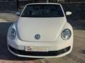 Volkswagen Beetle -  - Cabrio 2.0 TDI BMT 110 CV Weiß - thumbnail 21
