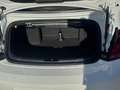Volkswagen Beetle -  - Cabrio 2.0 TDI BMT 110 CV Weiß - thumbnail 22