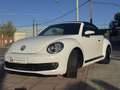 Volkswagen Beetle -  - Cabrio 2.0 TDI BMT 110 CV Weiß - thumbnail 11