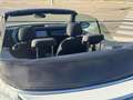 Volkswagen Beetle -  - Cabrio 2.0 TDI BMT 110 CV Weiß - thumbnail 20