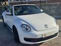 Volkswagen Beetle -  - Cabrio 2.0 TDI BMT 110 CV Weiß - thumbnail 25