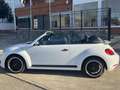Volkswagen Beetle -  - Cabrio 2.0 TDI BMT 110 CV Weiß - thumbnail 3