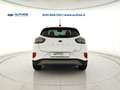 Ford Puma 1.0 ecoboost hybrid Titanium s&s 125cv Bianco - thumbnail 6