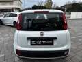 Fiat Panda 1.3 mjt Autocarro 4 posti N1 Blanco - thumbnail 8