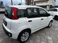 Fiat Panda 1.3 mjt Autocarro 4 posti N1 Blanco - thumbnail 5