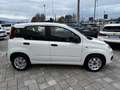 Fiat Panda 1.3 mjt Autocarro 4 posti N1 Blanco - thumbnail 4