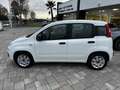 Fiat Panda 1.3 mjt Autocarro 4 posti N1 Blanco - thumbnail 6