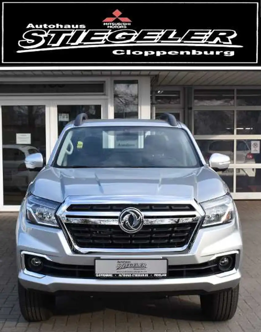 Sonstige Marken Indimo DFM Rich 6 Pick Up 4x4 Automatik Silber - 2