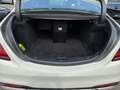 Mercedes-Benz S 400 d 4M +Memory+AMG+PANO+KAMERA+Ambiente+HuD Blanc - thumbnail 12