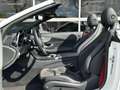 Mercedes-Benz C 300 Cabriolet AMG line Weiß - thumbnail 13