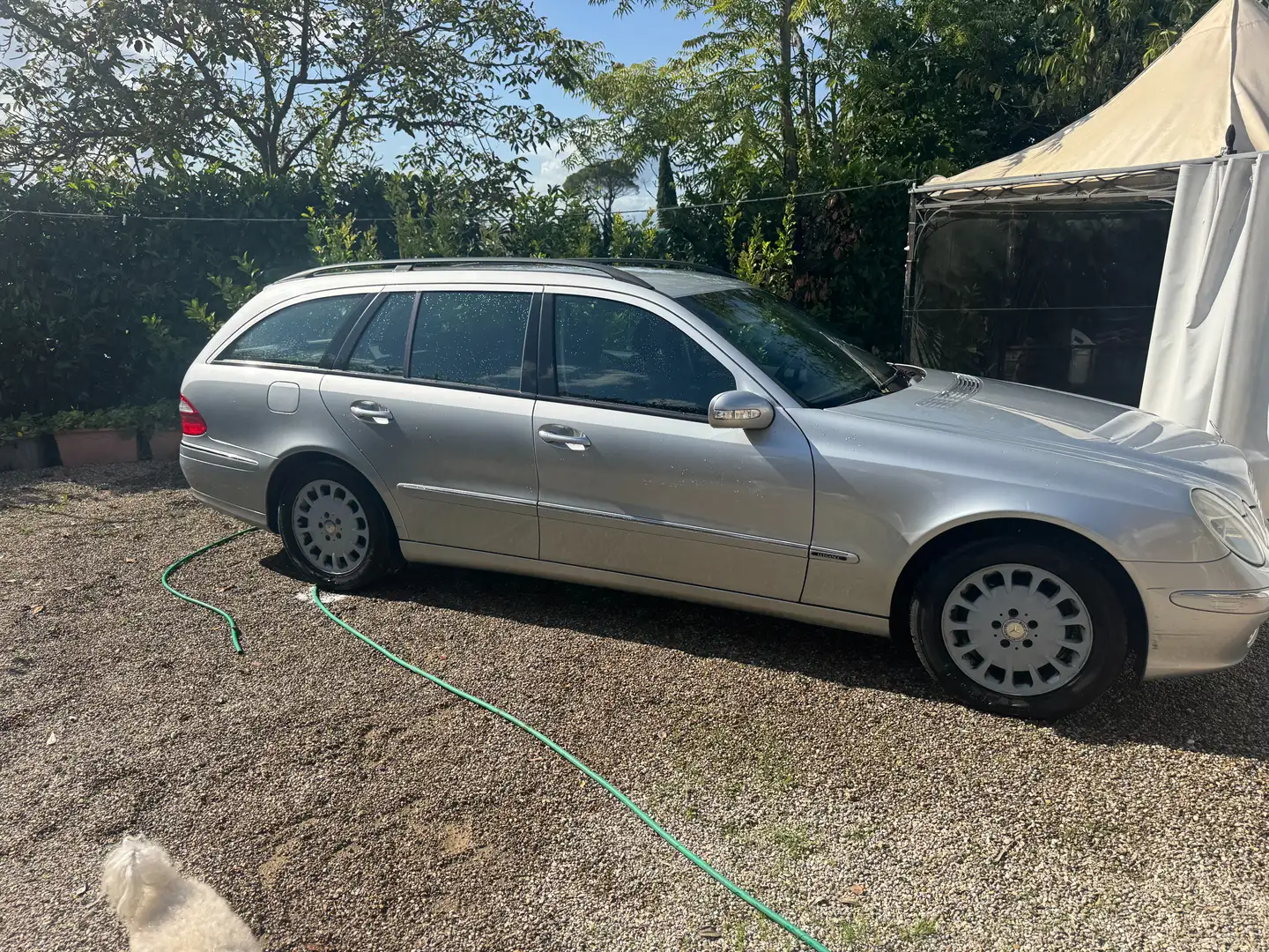 Mercedes-Benz E 270 Classe E - W211 SW SW cdi Elegance Argento - 1