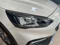 Ford Focus 1.0 Ecoboost MHEV 92kW Active Blanc - thumbnail 7