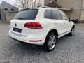 Volkswagen Touareg V6 TDI BMT IndividualPanoDynaudio360 Weiß - thumbnail 6