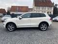 Volkswagen Touareg V6 TDI BMT IndividualPanoDynaudio360 Weiß - thumbnail 3