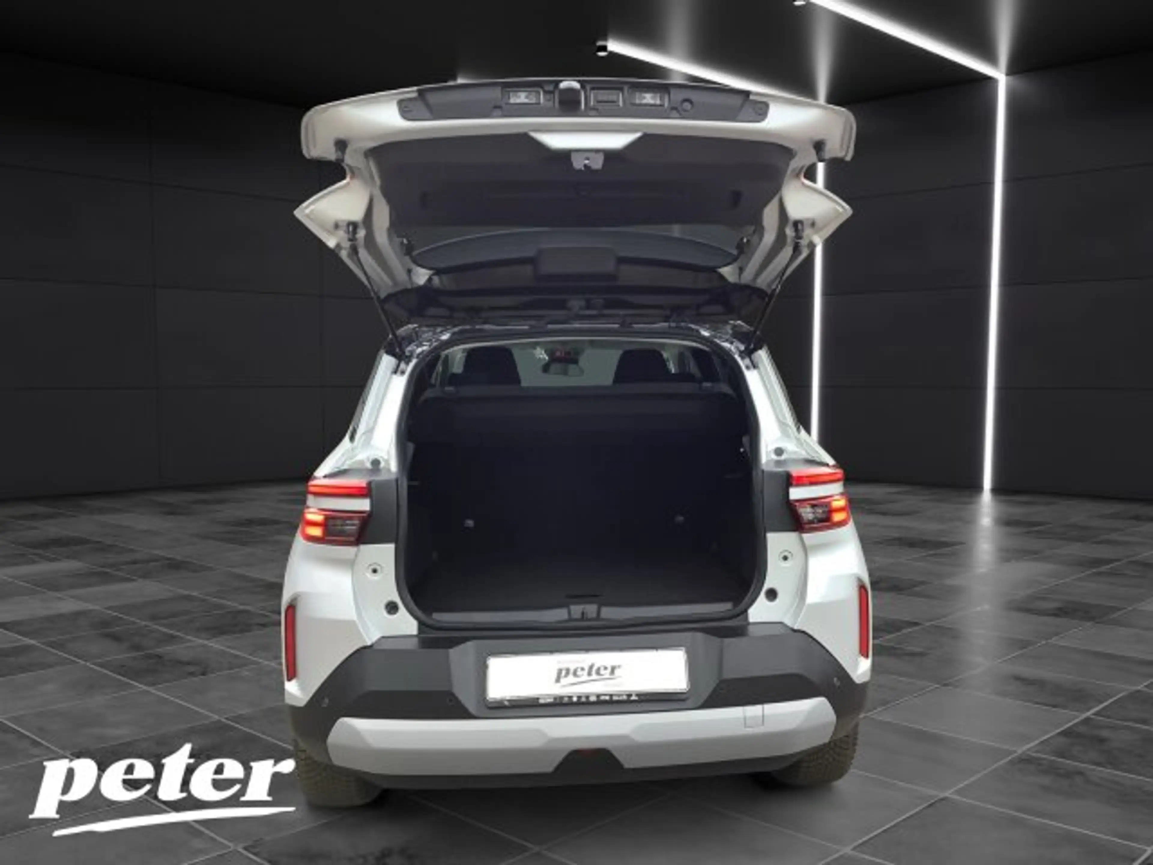Opel Frontera GS 113 Ext Range 54kWh +Allwetter+Kamera+Winter+ — photo 17