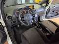 Opel Corsa-e Corsa 3p 1.3 cdti Ecotec Blanc - thumbnail 8