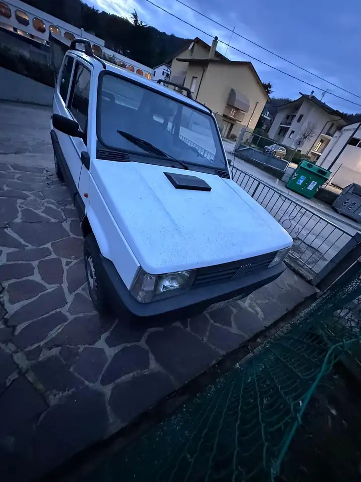 Fiat Panda 1.0 Trekking 4x4, foto 11