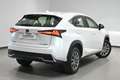 Lexus NX 300 300h Business 2WD Blanc - thumbnail 4